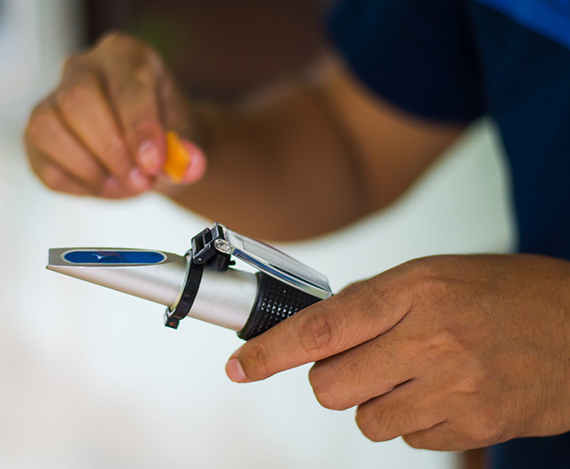 Z6·尊龙「中国区」官方网站